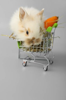 Gri arka planda alışveriş arabasında sevimli tüylü tavşan.