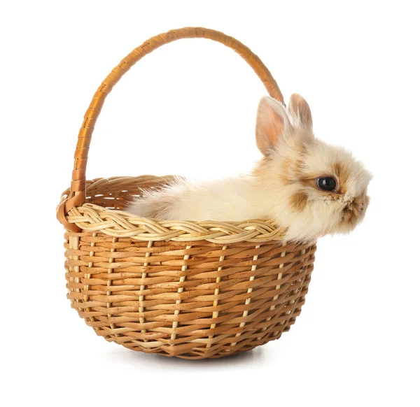 Cute Rabbit Wicker Basket White Background — Stock Photo, Image