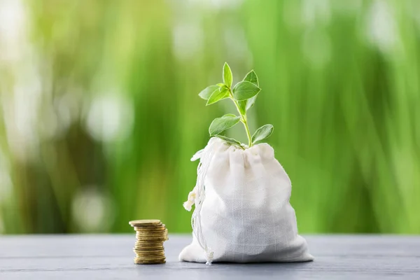 Bag Savings Young Plant Table Outdoors Concept Pension — Stock Photo, Image