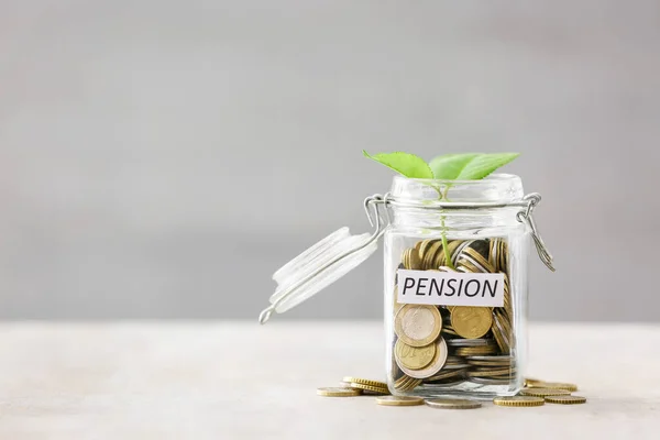Jar Savings Young Plant Grey Background Concept Pension — Stock Photo, Image