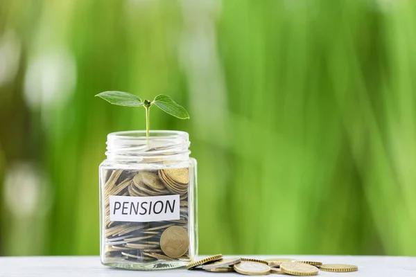 Jar Savings Young Plant Table Outdoors Concept Pension — Stock Photo, Image