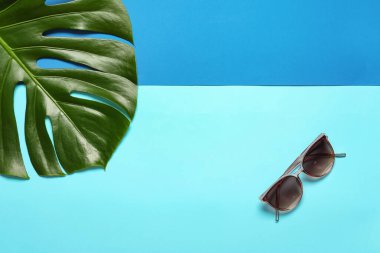 Renkli arka planda şık güneş gözlüğü ve tropik yaprak