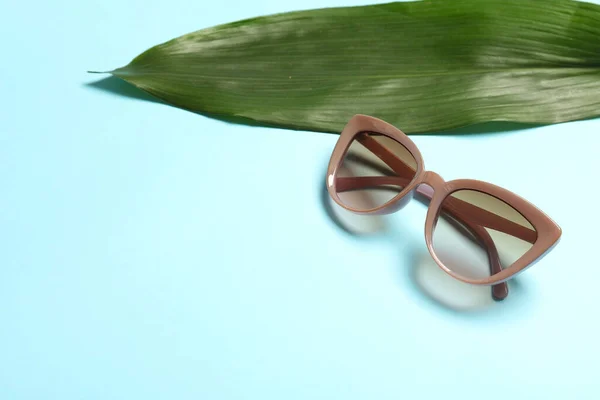 Snygga Solglasögon Och Tropiska Löv Färg Bakgrund — Stockfoto