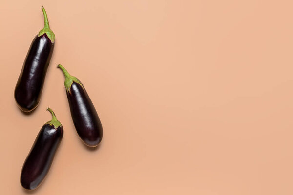 Raw eggplants on color background