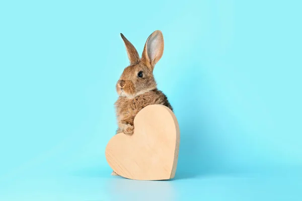 Cute Fluffy Rabbit Wooden Heart Color Background — Stock Photo, Image