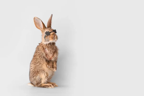Söt Fluffig Kanin Med Rolig Inredning Ljus Bakgrund — Stockfoto