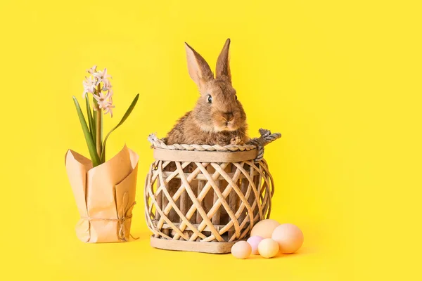带复活节彩蛋和彩篮的可爱毛兔 — 图库照片