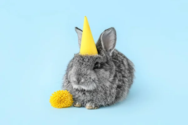 Lapin Moelleux Mignon Chapeau Fête Sur Fond Couleur — Photo