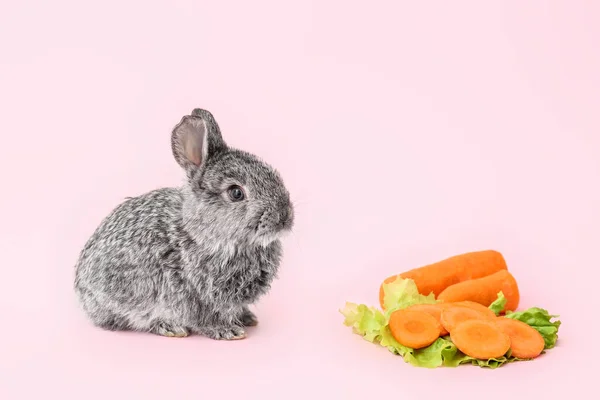 Renkli Sevimli Tüylü Tavşan Sebzeler — Stok fotoğraf