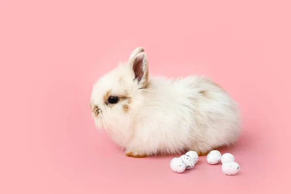 Симпатичный Кролик Пасхальные Яйца Цветном Фоне — стоковое фото