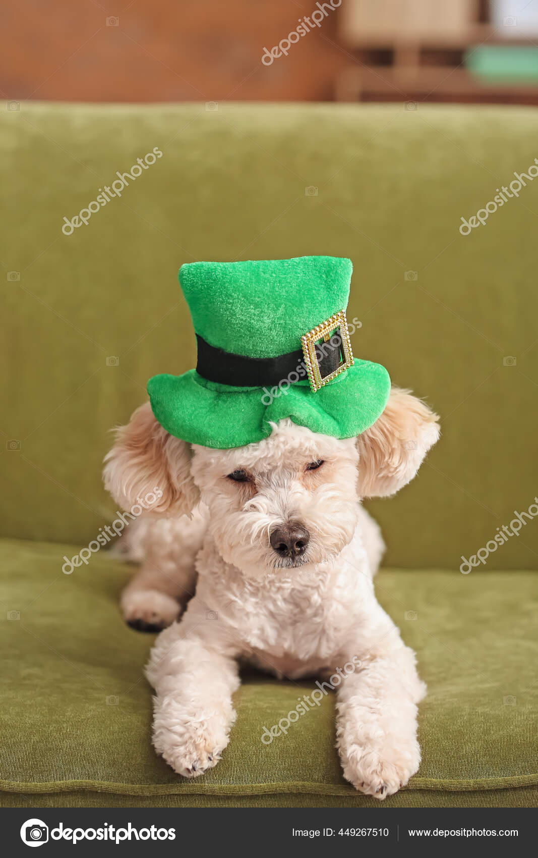 Cute Dog Green Hat Home Patrick's Day Celebration Stock Photo by