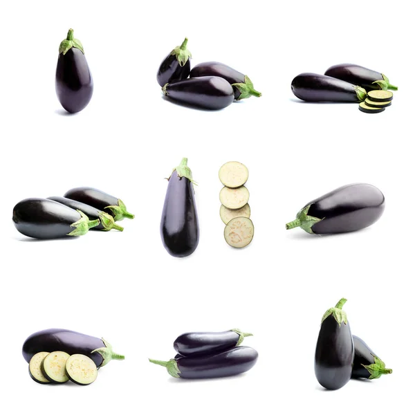Set Fresh Eggplants Slices White Background — Stock Photo, Image