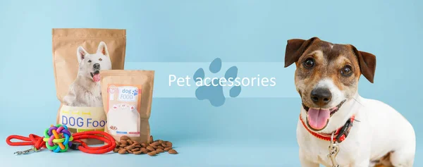 可爱的杰克 罗素狗狗 带着美味的宠物食品和彩色背景的配饰 — 图库照片