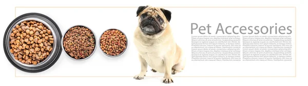 Рекламный Баннер Аксессуаров Домашних Животных Симпатичной Собакой Сухой Едой — стоковое фото