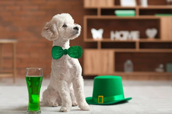 Cute dog with glass of beer at home. St. Patrick\'s Day celebration