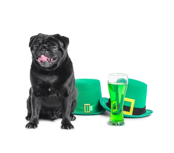 Cão Bonito Com Chapéus Verdes Copo Cerveja Fundo Branco Celebração — Fotografia de Stock