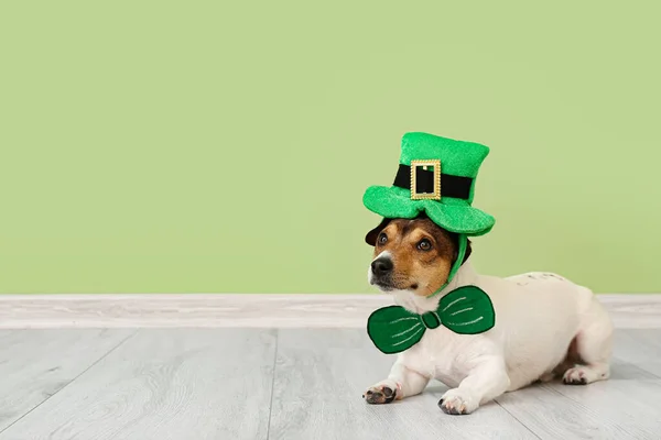Cute Dog Green Hat Color Wall Patrick Day Celebration — Stock Photo, Image