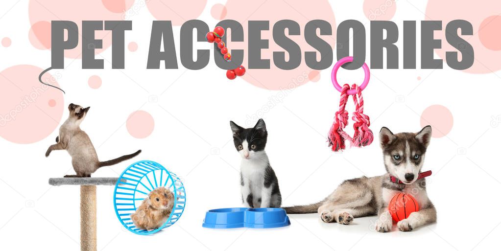 Advertisement banner for pet accessories with different animals