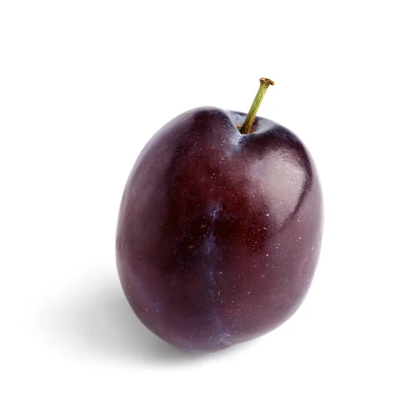 Sweet Plum White Background — Stock Photo, Image