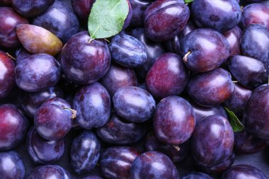 Arkaplan olarak birçok olgun erik