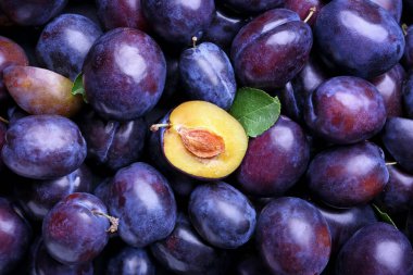 Arkaplan olarak birçok olgun erik