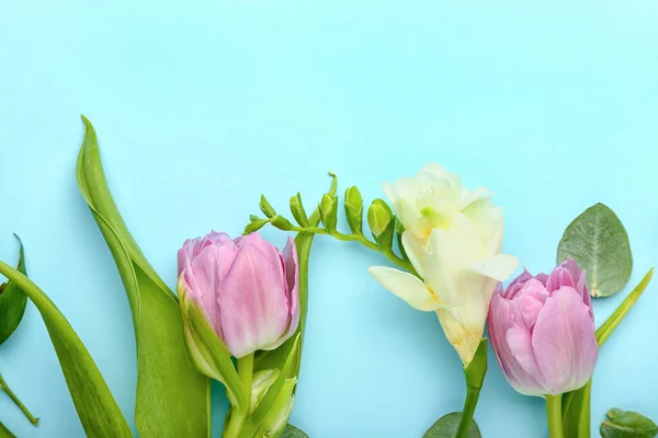 Renkli Arka Planda Güzel Bahar Çiçekleri — Stok fotoğraf