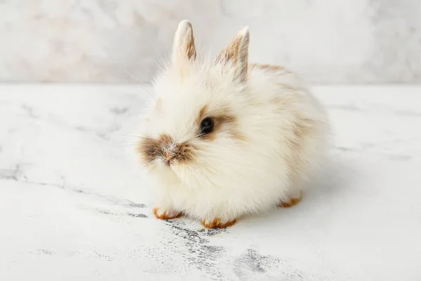Niedliche Flauschige Kaninchen Auf Hellem Tisch — Stockfoto