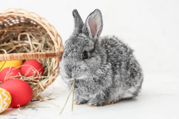 Милый Кролик Корзина Пасхальными Яйцами Светлом Фоне — стоковое фото
