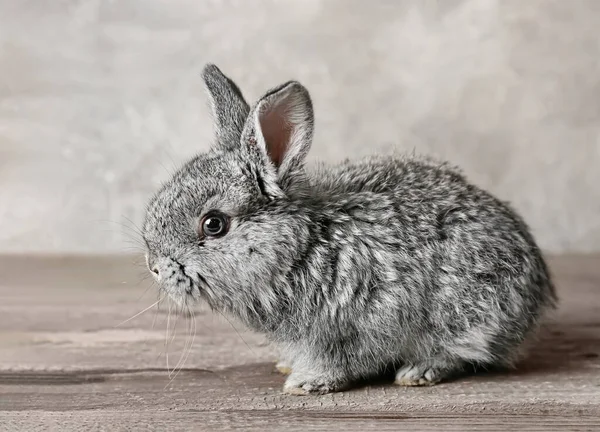 Lindo Conejo Divertido Mesa Contra Fondo Gris — Foto de Stock