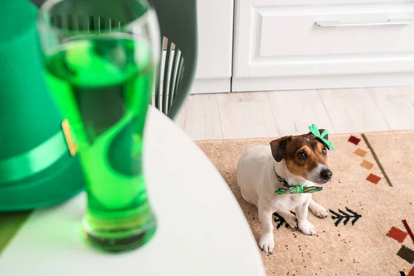 Cute Dog Home Patrick Day Celebration — Stock Photo, Image