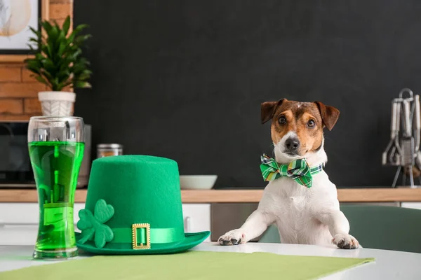 Cute Dog Green Hat Glass Beer Home Patrick Day Celebration — Stock Photo, Image