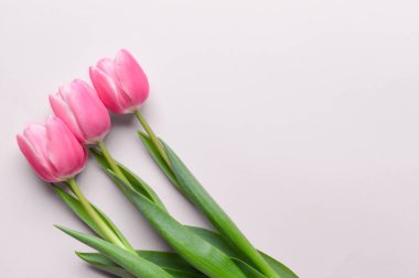 Açık arkaplanda güzel çiçekler