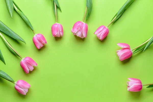 Renkli Arkaplanda Güzel Çiçekler — Stok fotoğraf