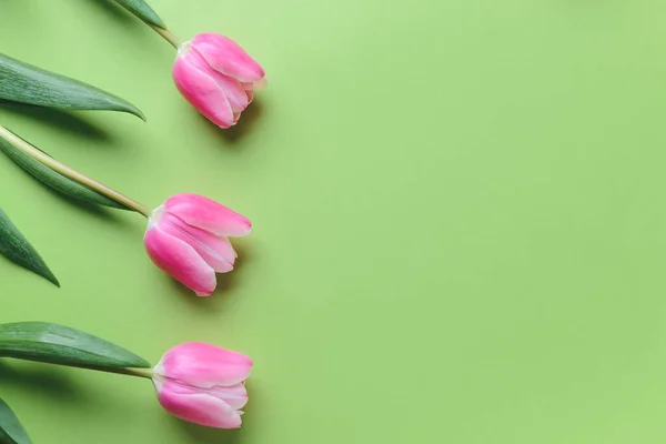 Renkli Arkaplanda Güzel Çiçekler — Stok fotoğraf