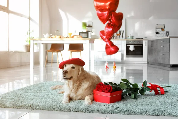 Cute Dog Gift Flowers Home Valentine Day Celebration — Stock Photo, Image