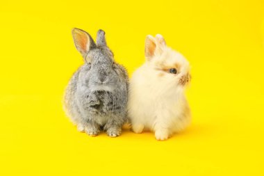 Renkli arka planda sevimli komik tavşanlar