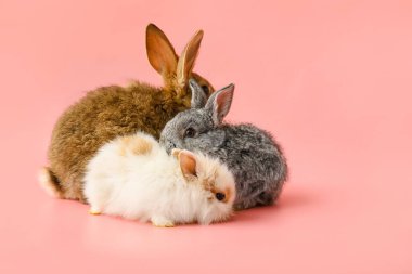 Renkli arka planda sevimli komik tavşanlar