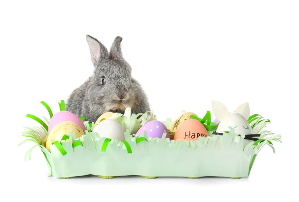 Cute Rabbit Easter Egg White Background — Stock Photo, Image
