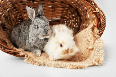 Işık arkaplanda sevimli komik tavşanlar olan sepet