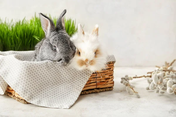 Cute rabbits in wicker box on light background