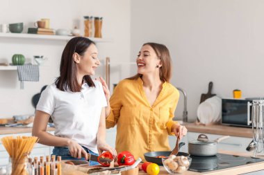 Genç lezbiyen çift mutfakta yemek pişiriyor.