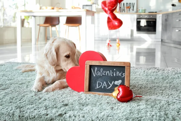 Cute Dog Gift Home Valentine Day Celebration — Stock Photo, Image