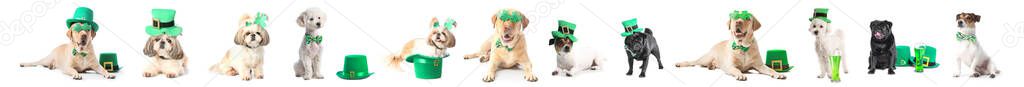 Different cute dogs with party decor on white background. St. Patrick's Day celebration