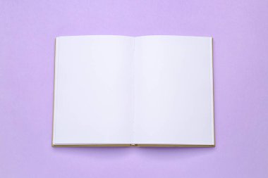 Renk arkaplanı üzerine boş açık kitap