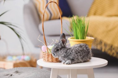 Masada Paskalya yumurtaları olan şirin bir tavşan ve sepet.