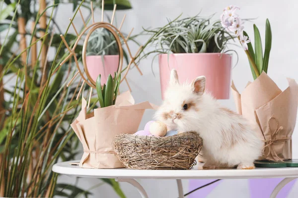 Cute Rabbit Spring Plants Easter Eggs Table — Stock Photo, Image