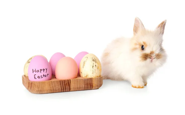 Cute Rabbit Easter Eggs White Background — Stock Photo, Image