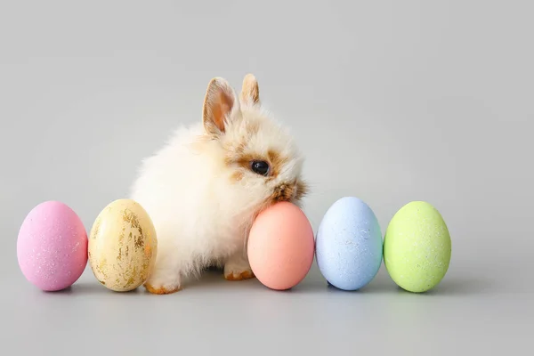 Cute Rabbit Easter Eggs Grey Background — Stock Photo, Image