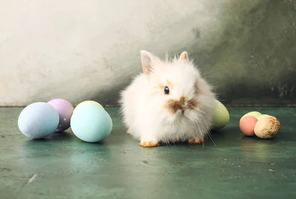 Cute Rabbit Easter Eggs Color Background — Stock Photo, Image