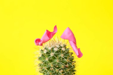Renkli arka planda kaktüs ve patlamış hava balonu
